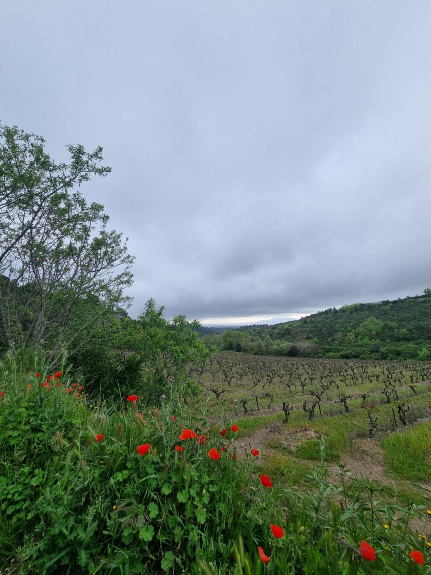 Maison De Charme Caunes-Minervois Zimmer foto